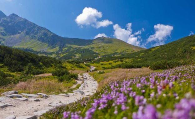 House Hanka, High Tatras สตารา เลชนา ภายนอก รูปภาพ